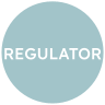 Regulators / External Audit